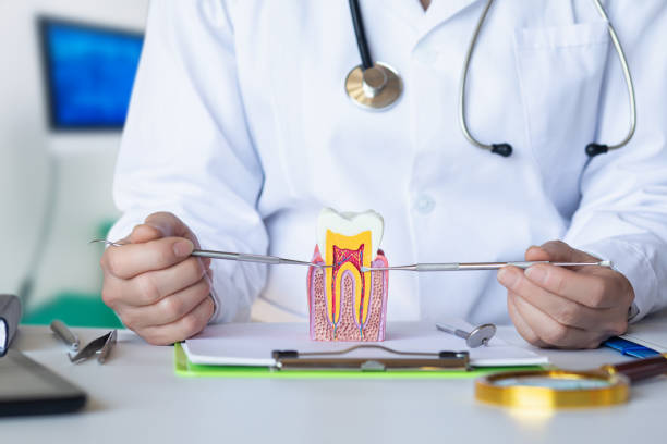 Best Emergency Gum Pain Relief  in Brunswick, MD